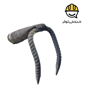 دو شاخ شهرداری